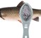 Excefore Plastic Fish Scale Scraper Remover Multifunctional Fish Scales Clean Tools Safe Fish Scales Brush Peeler with Clear Cover Kitchen Gadgets Accessions Efficiently removes Fish Scales