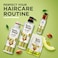 Hair Food Sulfate Free Conditioner with Avocado &amp; Argan Oil Dye Free Smoothing Treatment 300ml