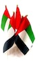 Party Time 12 Pieces UAE Flag with Stick,  For UAE National Day Decoration, Strong Polyester Material - Long Durability - Indoor and Outdoor Use (45cm X 60cm)