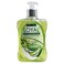 Loyal Liquid Soap Hand And Body Wash Green Garden