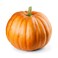 White Pumpkin
