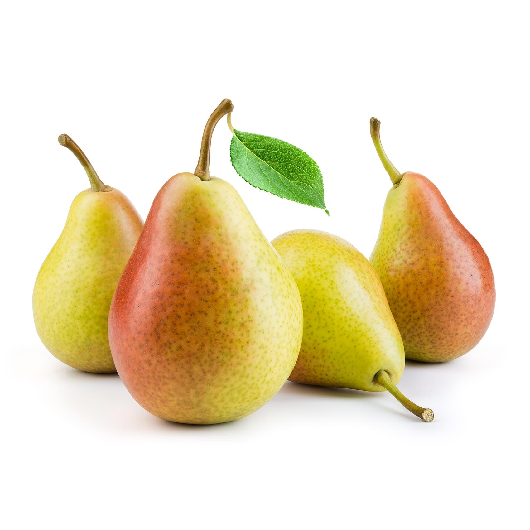 كمثرى (إجاص) كوشيا
