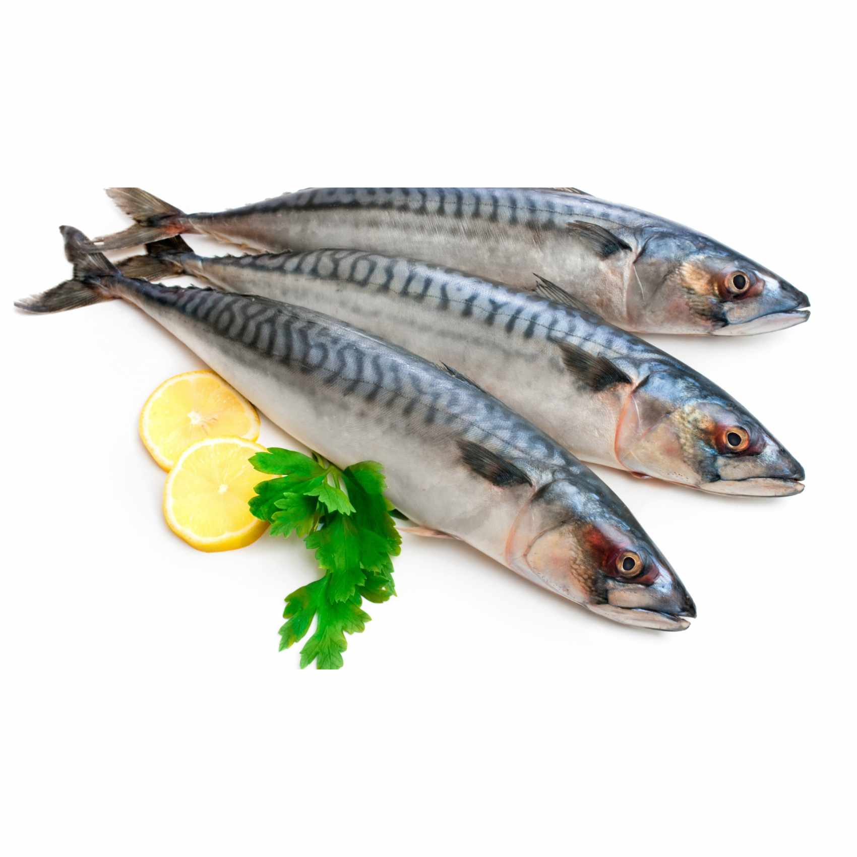 Buy Fresh Big Eye Mackerel Fish 400g - 600g Online | Carrefour UAE