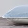 Ergonomic Pillow Side/Back Sleeper 39X69cm