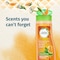 Herbal Essences&nbsp;Body Envy&nbsp;Boosted Volume Shampoo with&nbsp;Citrus Essences,400ml&nbsp;