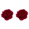 FABULOUS ROSY HAIR CLIPS