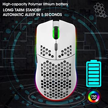 HXSJ T66 RGB 2.4G Wireless Gaming Mouse RGB Lighting Charging Mouse with Adjustable DPI Ergonomic Design for Desktop Laptop (White)
