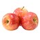 Sharbatly Fruit Gala Apple Punnet 1.5 kg