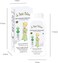 Le Petit Prince Organic Gentle Baby Bath - Cleanses &amp; Protects Babies Skin - Contains Organic Calendula Extract - Cosmos Organic Label - 250ml