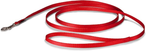 Petmate Nylon Dog Leash 3/8&quot;X6&#39; Red