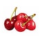 Cherry Red