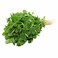 Premium Fenugreek Herb (Methi) 200g