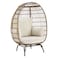 MyChoice Steel and Wicker Egg Shape Chair