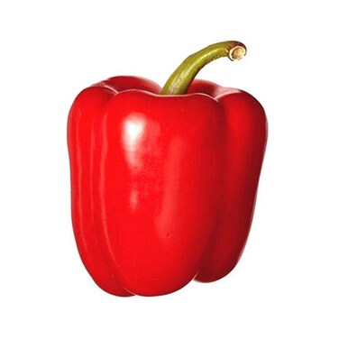 Capsicum Red Import
