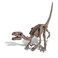Kidsz Labs/Dig A Velociraptor