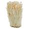 Enoki Mushroom