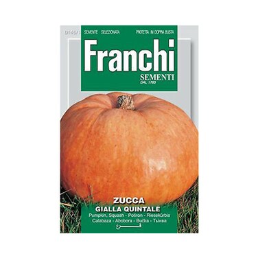 Franchi Zucca Gialla Quintale 145/1