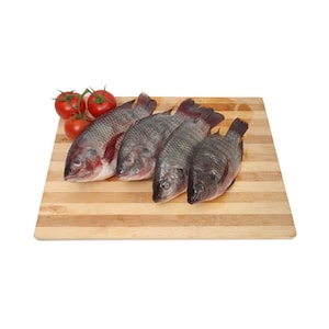 Tilapia Fish