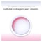 Neutrogena Face Cream - Cellular Boost - Anti Ageing Day Cream - SPF 20 - 50 Ml