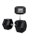 Harley Fitness 45.00KG Rubber Coated Fixed Hex Dumbbell 1 Pair