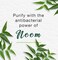 Himalaya Herbals Purifying Neem Face Wash, 150 ml