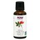 Now Solutions Pure Rose Hip Seed Oil Clear 30ml