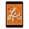 Apple iPad Mini 5th Generation 3GB 64GB Wi-Fi Tablet 7.9 Inch NT Space Grey