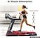 Sparnod Fitness STH-3200: 4 HP Peak DC Motor, 16 Km/H Treadmill, Advanced Console with 12 Pre-Set Programs, Supports 110 Kg User Weight, Hydraulic Foldable, Inbuilt Speakers