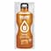 Bolero Advanced Hydration Sugar Free Honey Drink 9GR