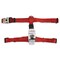 Petmate Nylon Dog Harness 1&quot;X28-36&quot; Red