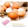 Portable Plastic Egg Box with Handle  15 Section Folding Egg Tray Storage Holder