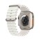 Apple Watch Ultra 2 GPS  Cellular, 49mm Titanium Case with White Ocean Band