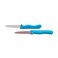 Bergner stainless steel 2pc fruit knife set, blue colour, bg39900bl