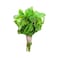 Fresh Mint (Pudina)