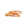 Frozen Whole Shrimp - 40-50 - 1 Kg