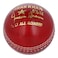 A.I CRICKET HARD BALL KK-BA0