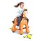 Feber My Wild Horse Ride-On Brown