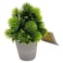 Artificial Mini Pine With Plastic Pot Set Green