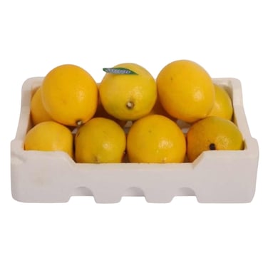 Foam Box Lemon