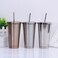 Generic-500ml 304 Stainless Steel Cup Hot Cold Drink Vacuum Insulated Flask Straw Lid Set Coffee Mug Portable Travel Tumbler