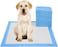 Doreen Disposable Absorbent Quick Drying Leak-Proof Pee Pads for Potty Training for Pets, 45x60cm M - 50 Pieces