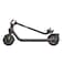 Segway Ninebot E2 Plus Electric KickScooter Black And Grey