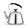 Teapot Kettle Stainless Steel 1L