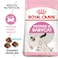 Feline Health Nutrition Mother &amp; Babycat  4 KG