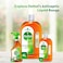 Dettol Antiseptic Antibacterial Disinfectant Liquid 1L