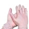Lulu Disposable Vinyl Gloves Medium 100Pcs