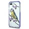 iOrigin iPhone 7 Plus Clear Bumper Mobile Case - Bird