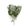 Basil Leaves Pack Of 50g
