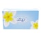 Fay Facial Tissue White 80S