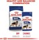Royal Canin SHN Maxi Adult Wet Food Pouches Box of 10x140g Size Health Nutrition Dog Food